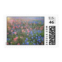 Blue Bonnets and Indian Paint Brushes Postage Stamp