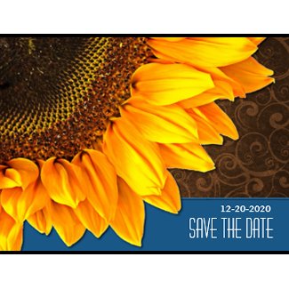 Blue & Brown Sunflower Wedding Save the Dates postcard