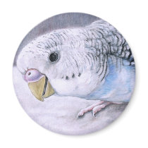 "Blue Budgie" Bird Art Magnet by CharlottesWebArt "Blue Budgie" Bird Art Magnet