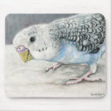 Blue Budgie Parakeet Bird Art mousepads