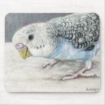 Blue Budgie Parakeet Bird Art Mouse Pads