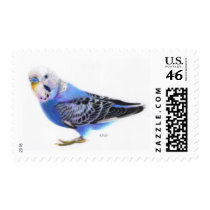 Blue Budgie Postage Stamps