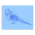 Blue Budgie posters by nature_art Blue Budgie posters