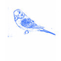 Blue Budgie T-shirt