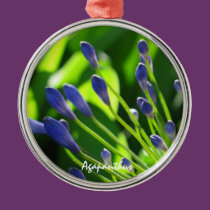 Blue Buds Agapanthus Christmas Ornament ornaments