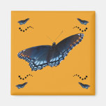 Blue Butterflies magnet