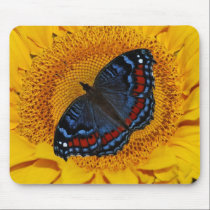 Blue butterfly and the sunflower mousepads