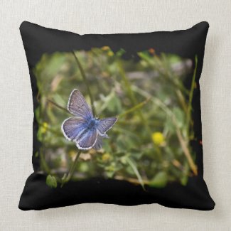 Blue Butterfly Black Edge Throw Pillow