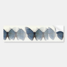 Blue Butterfly Bumper Stickers