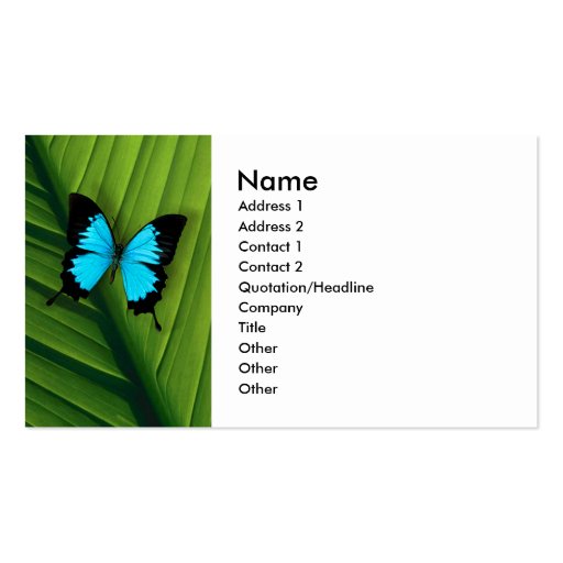 Blue Butterfly Business Card Template (front side)