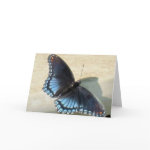 Blue Butterfly card