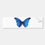 blue butterfly design bumper stickers