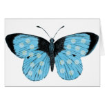 Blue Butterfly Greeting Card