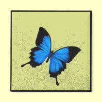 Blue Butterfly Magnet magnets