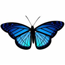 Blue butterfly magnet photo sculptures by Elsapozu Blue butterfly magnet photo sculptures
