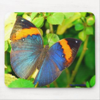 Blue Butterfly-Mousepad mousepad