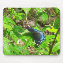 Blue Butterfly Mousepad mousepads