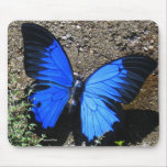 Blue Butterfly, Mousepad