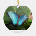 Blue Butterfly Ornament