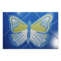 Blue butterfly photo print