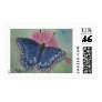 BLUE BUTTERFLY
