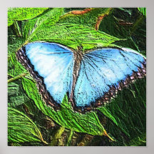 Blue Butterfly Poster