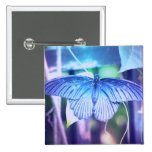 Blue Butterfly Square Button