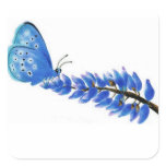Blue Butterfly Sticker
