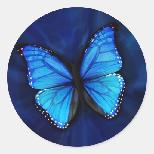 Blue Butterfly Sticker Zazzle