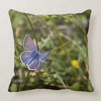 Blue Butterfly Throw Pillows
