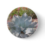 blue cactus, arid