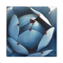 Blue Cactus Magnet by pulsDesign Blue Cactus Magnet