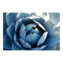 Blue Cactus Poster posters by pulsDesign Blue Cactus Poster posters