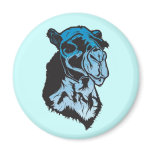 Blue Camel Magnent magnets