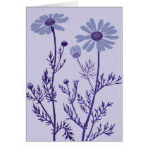 blue camomile cards