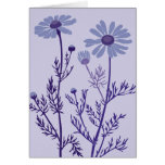 blue camomile cards