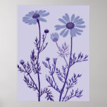 blue camomile poster