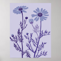 blue camomile poster
