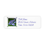 Blue Campanula Flowers Mailing Label