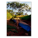 Blue Canoe and Tino, too cards