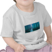 Blue Canyon t-shirts