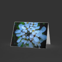 blue cards by stucker111 blue cards