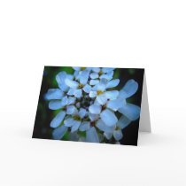 blue cards
