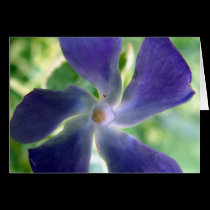 Blue cards by celtxian Blue cards