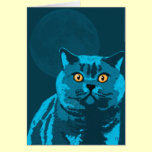Blue cat cards