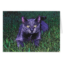 BLUE CAT cards