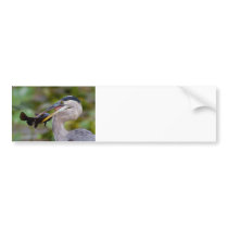 Blue Catfish Bumper Stickers