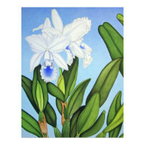 Blue Cattleya Orchids posters by joeyartist Blue Cattleya Orchids posters