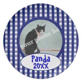 Blue Checkers Custom Photo Pet Cat Keepsake Plate