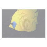 Blue cheed (masked) butterfly fish, Red Sea, Egypt Stationery